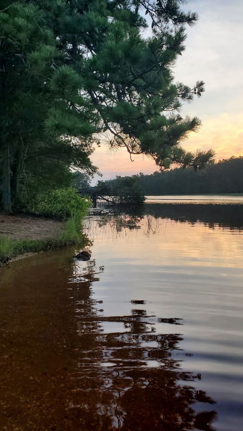 Kayaking and Canoeing the Winding Rivers Inside the Forest