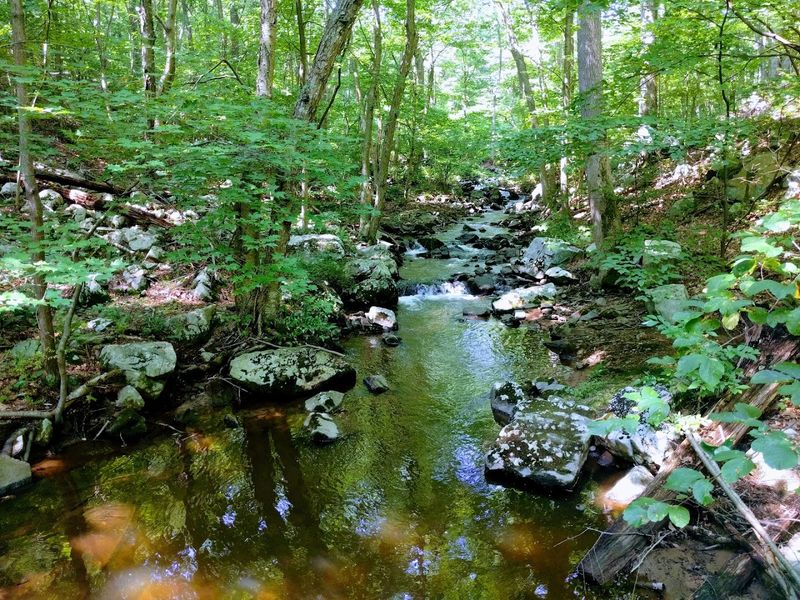 Blue Trail: Descending Into the Heart of the Ravine