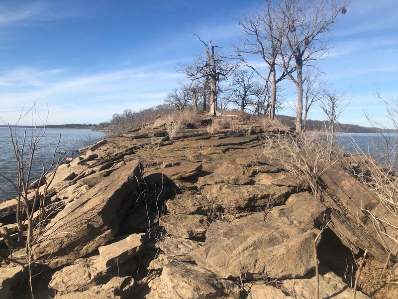 The Marshland Edges Give The Lake Its Character