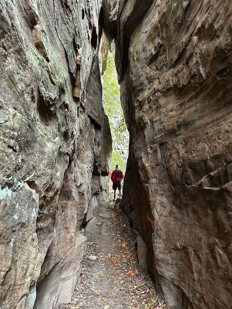 Rock Climbing: Over 300 Routes on Ancient Canyon Walls