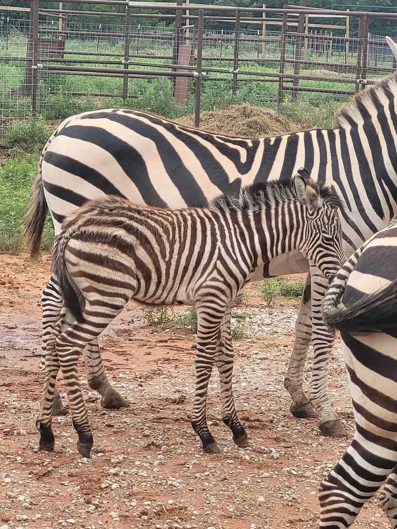 Practical Tips for Planning Your Visit