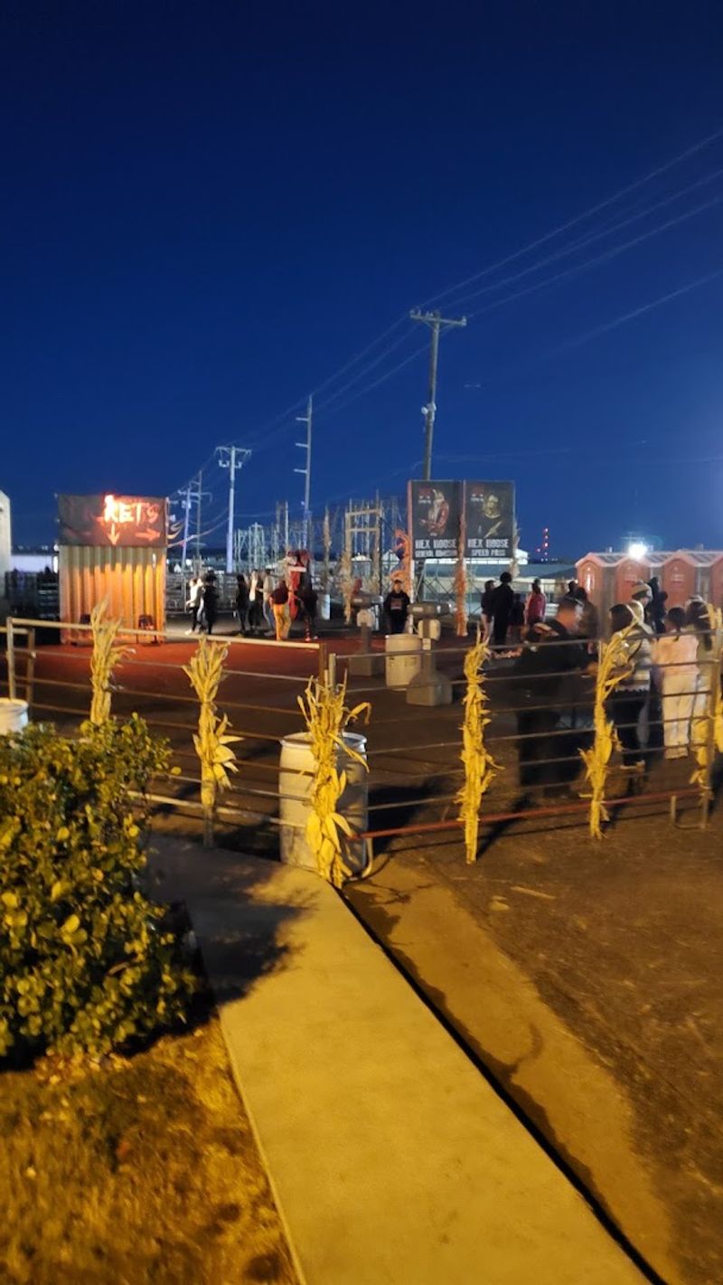 Getting There and Making the Most of Your Night