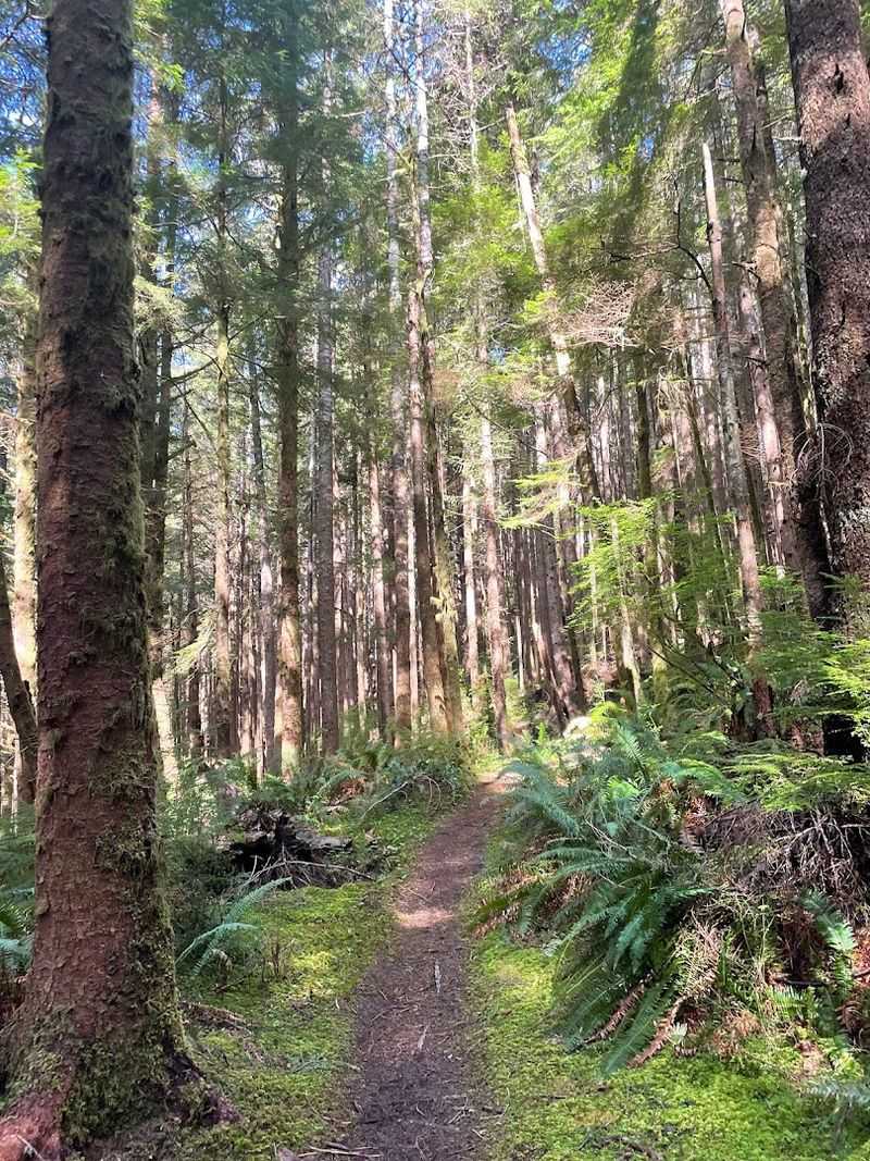 Getting to Amanda's Trail: Finding the Hidden Entrance