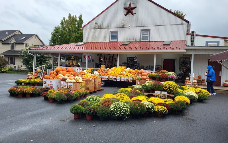 The Pennsylvania Pie Run That Easily Justifies The Miles