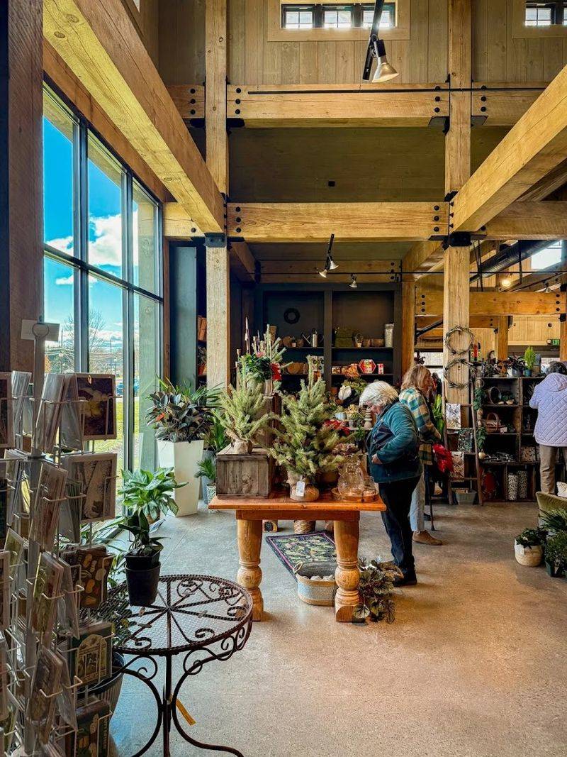 Pastries, Sunlight, And The Kind Of Setup That Slows You Down