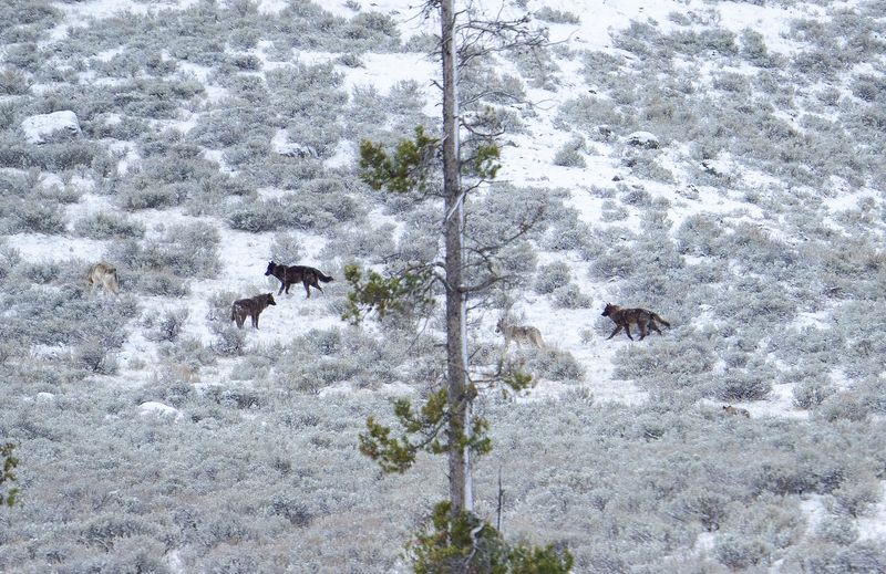 Big-Nature Moments That Test Everyone’s Patience