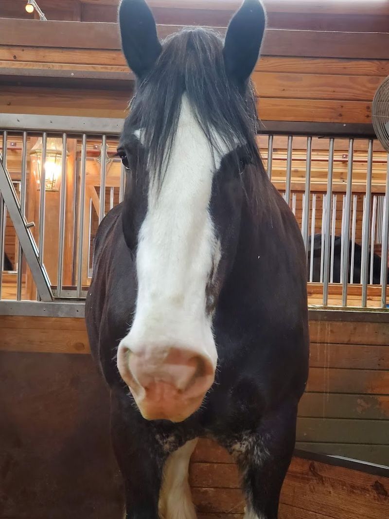 A Final Word on This Oklahoma Treasure