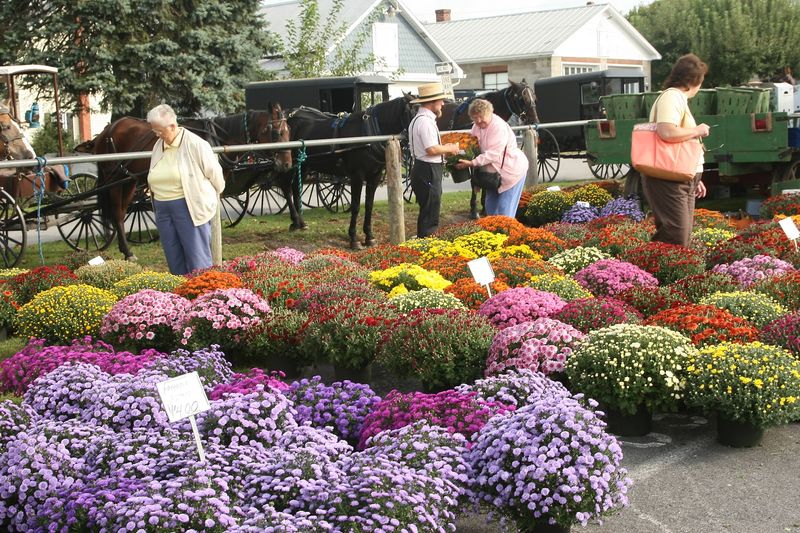 A Belleville Tradition That Mixes Commerce, Community, And Curiosity