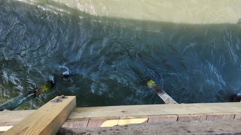 Splintered Remains That Say More Than A Full Pier Could