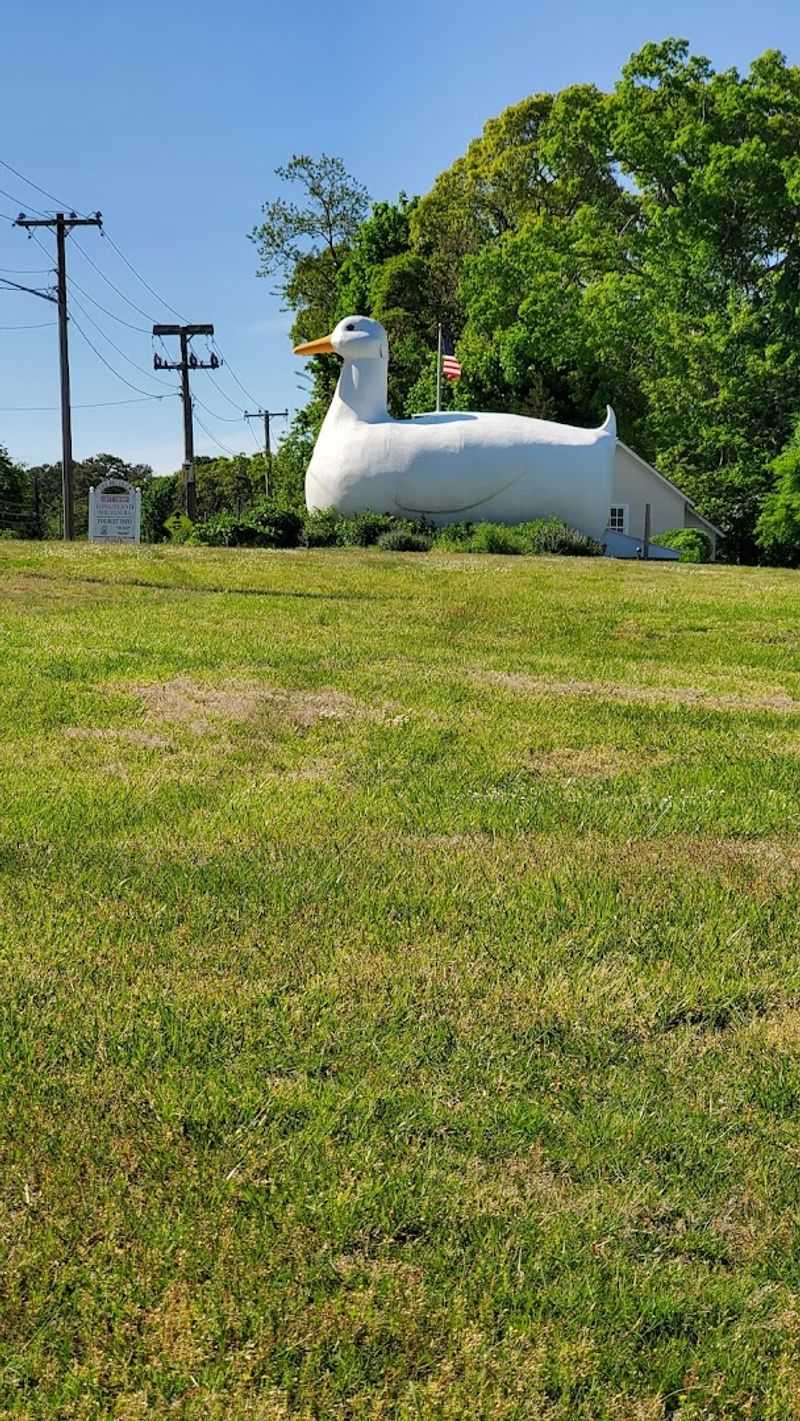 A Quick Stop That Feels Bigger Than It Sounds