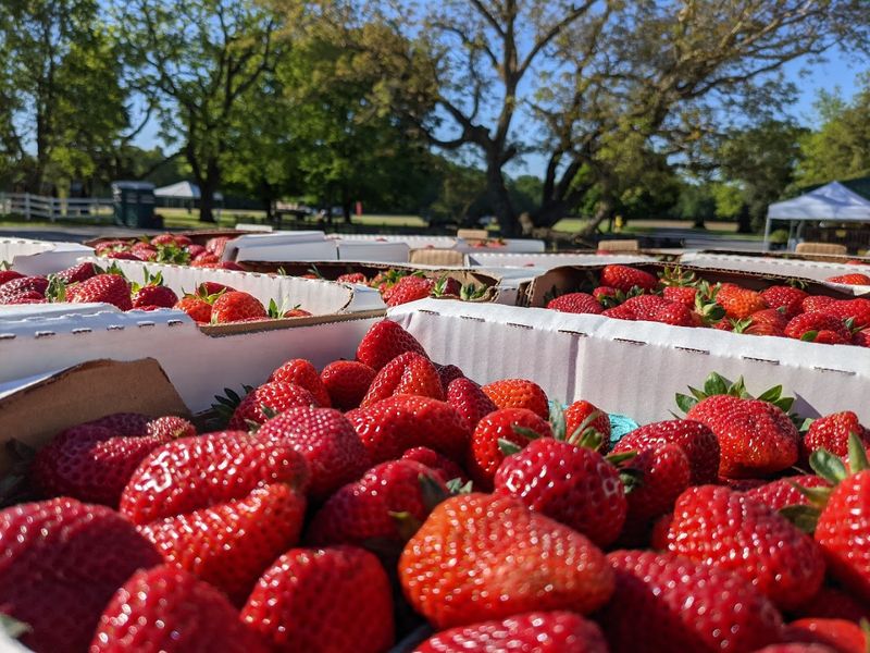 Fresh Produce And Local Goods Add More Temptation