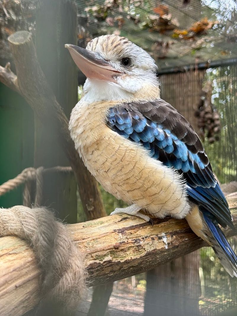 The Kentucky Attraction That Keeps Kids And Adults Busy