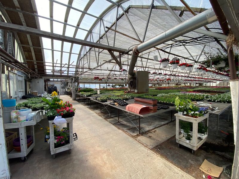 A Mechanicsburg Favorite With More Than One Draw