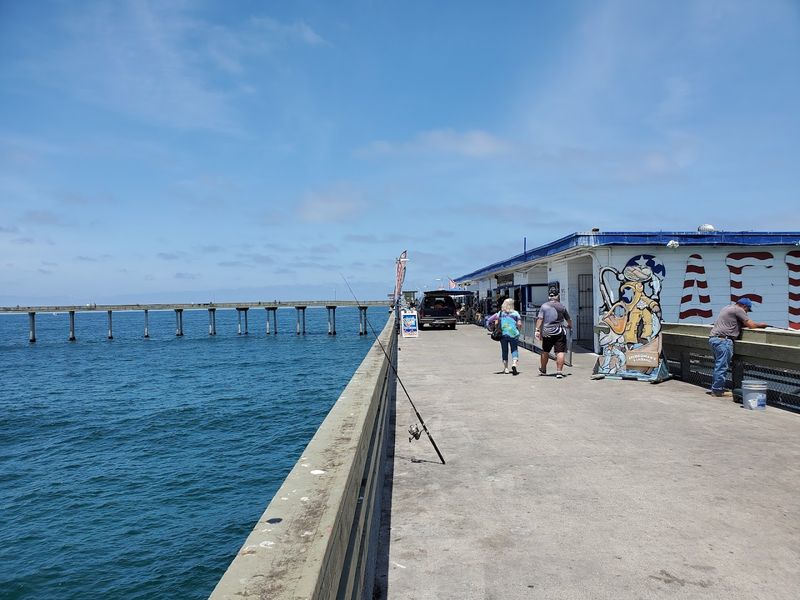 The Kind Of Place That Felt Bigger Than A Simple Pier