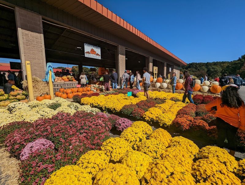 A Raleigh Favorite With More Than One Reason To Linger