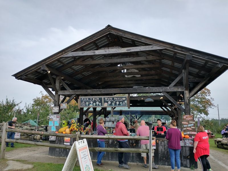 Farm Market Finds Worth Bringing Home