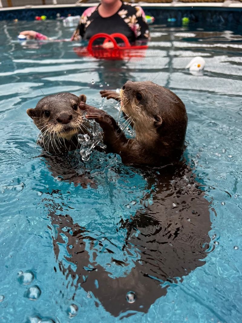 A Delaware Stop Full Of Animal Surprises