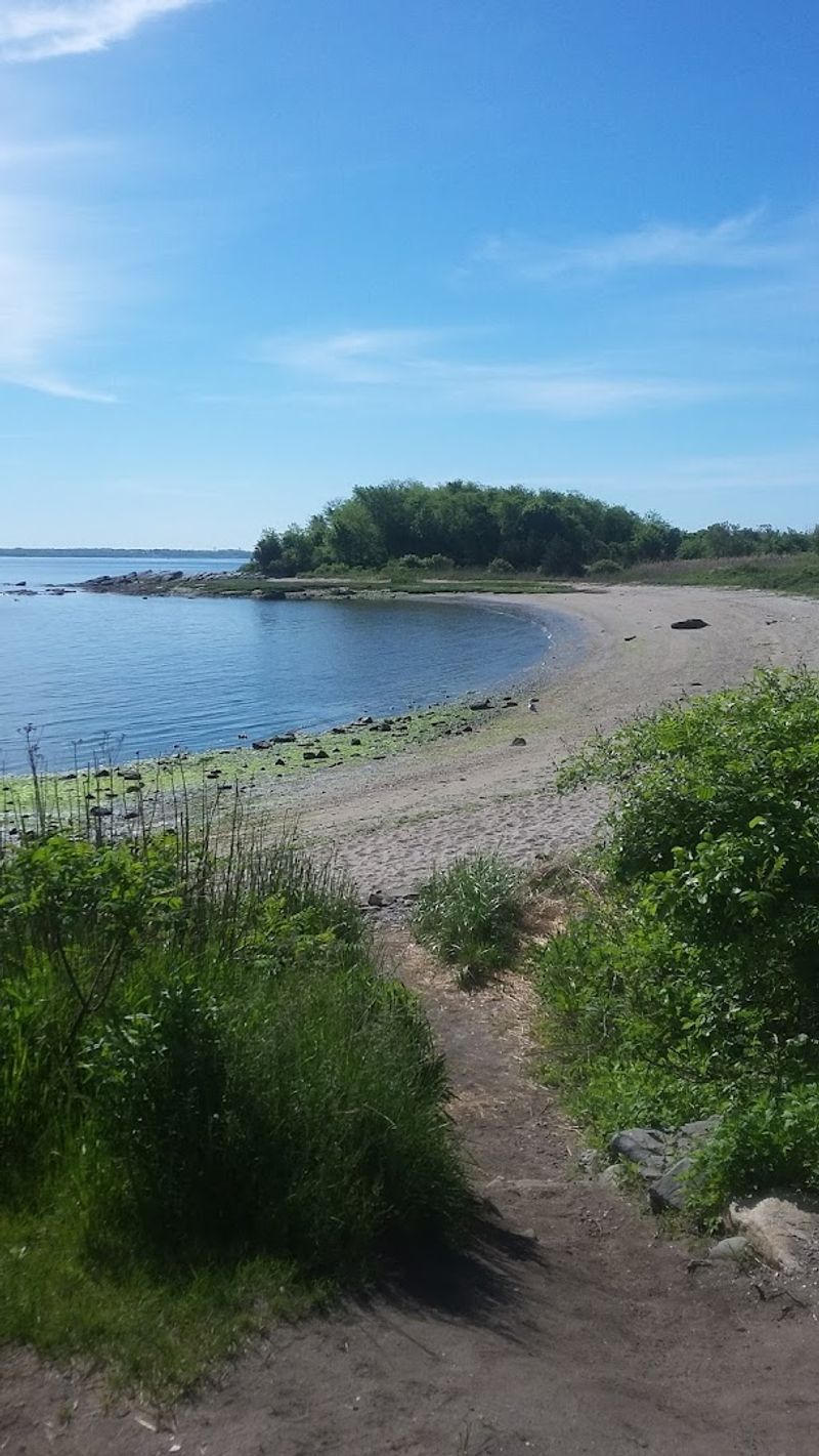 The Walking Paths That Replaced The Midway Energy