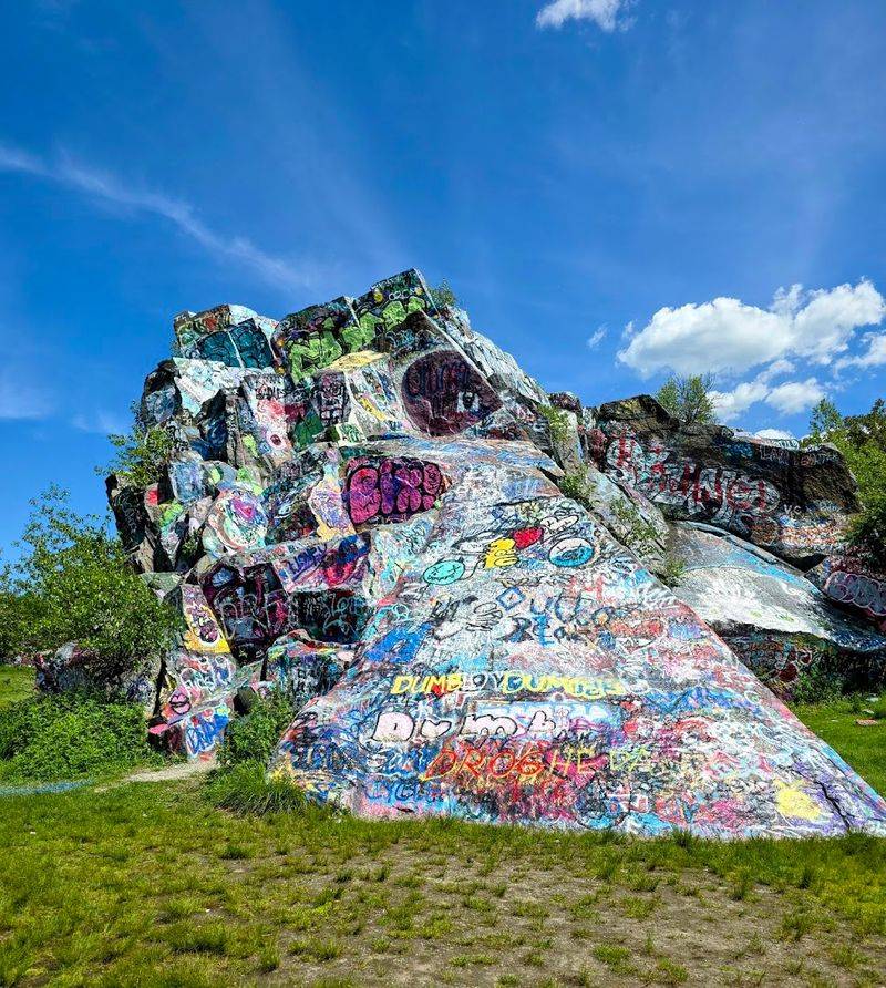 Climbing, Wandering, And Looking Around All Compete For Attention