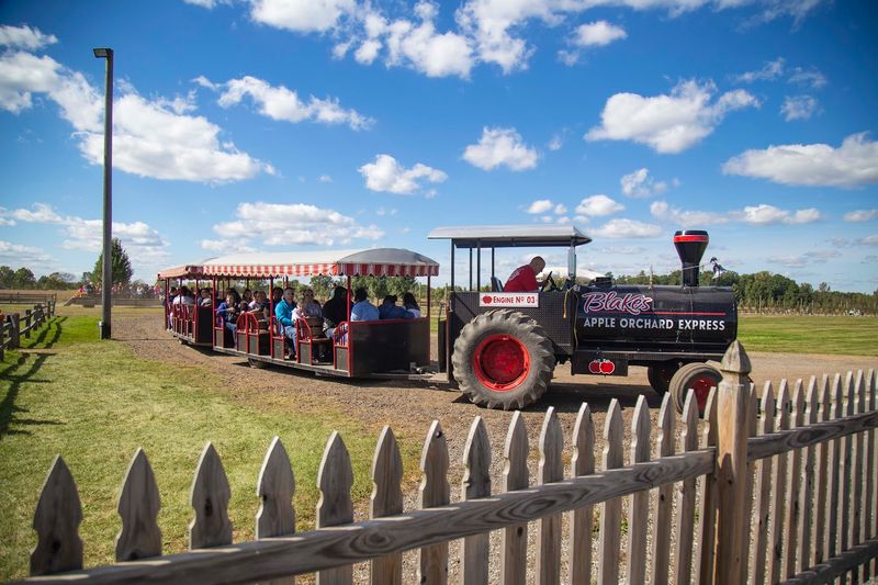 A Farm Market With Serious Fall Energy