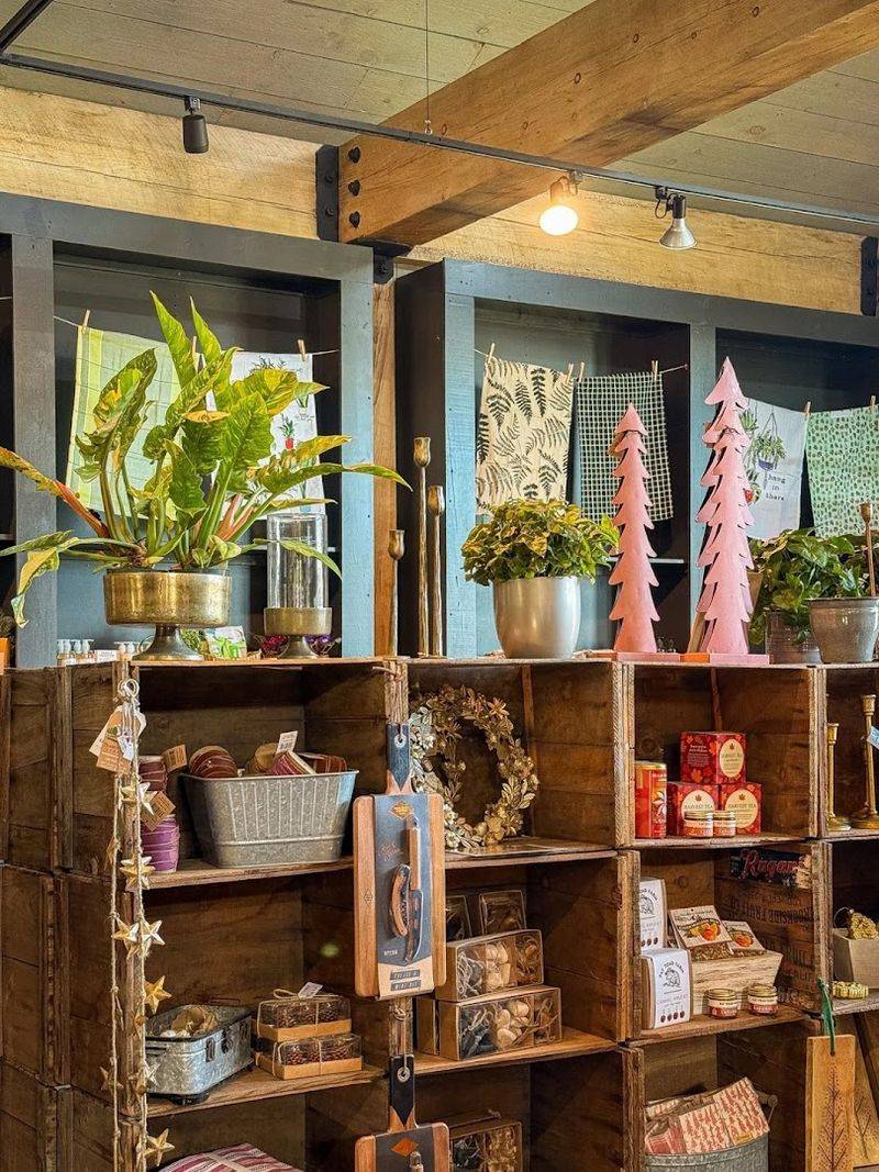 The Temptation Of Leaving With A Latte And A New Plant