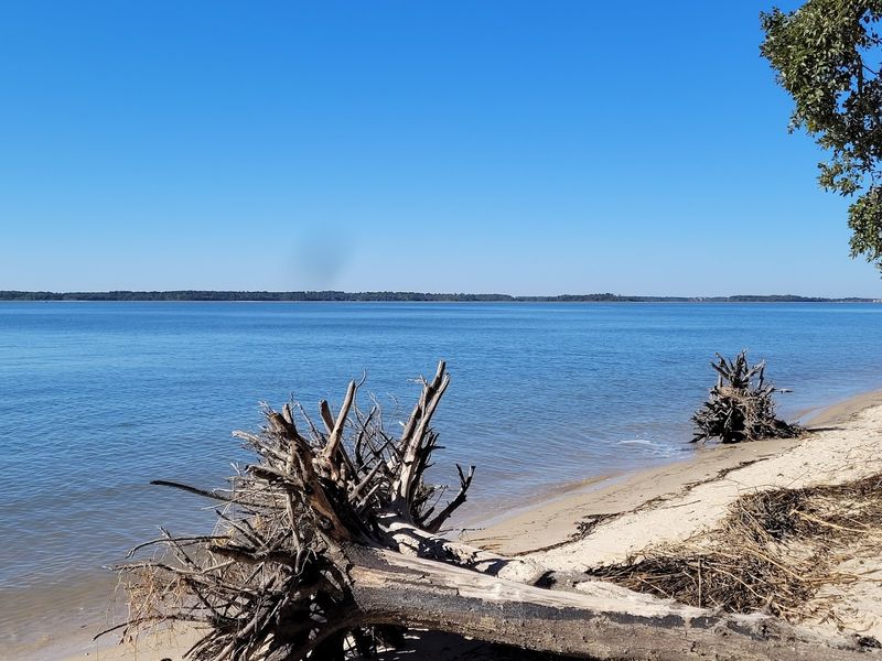 Quiet Marsh Views That Add To The Fort’s Hidden-Away Appeal