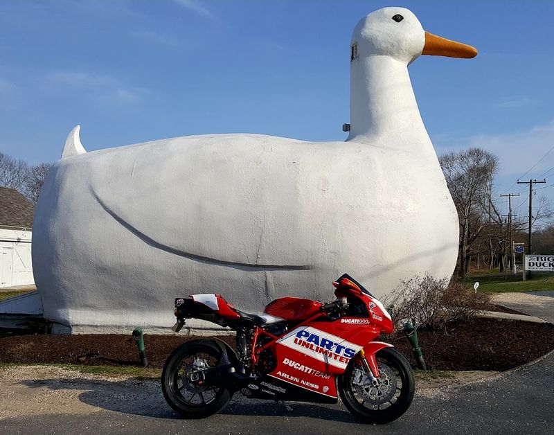 A Roadside Icon With More Personality Than Expected