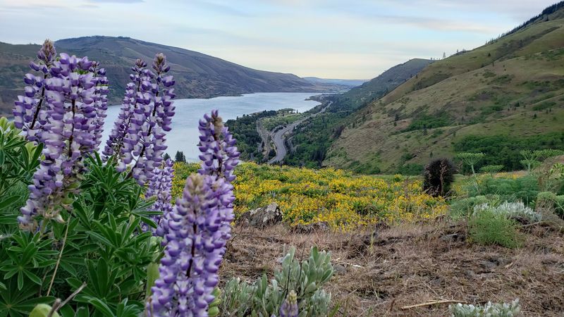 The Nature Conservancy Rules That Protect This Place