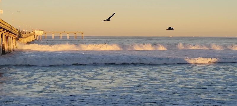 Long Views, Salt Air, And A Walk Locals Never Got Tired Of