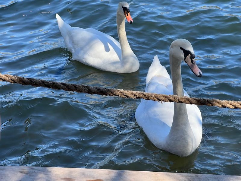 A Morning Memory You Will Carry Home