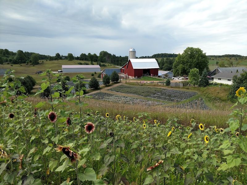 The Boyne City Detour That Feels Surprisingly Transporting
