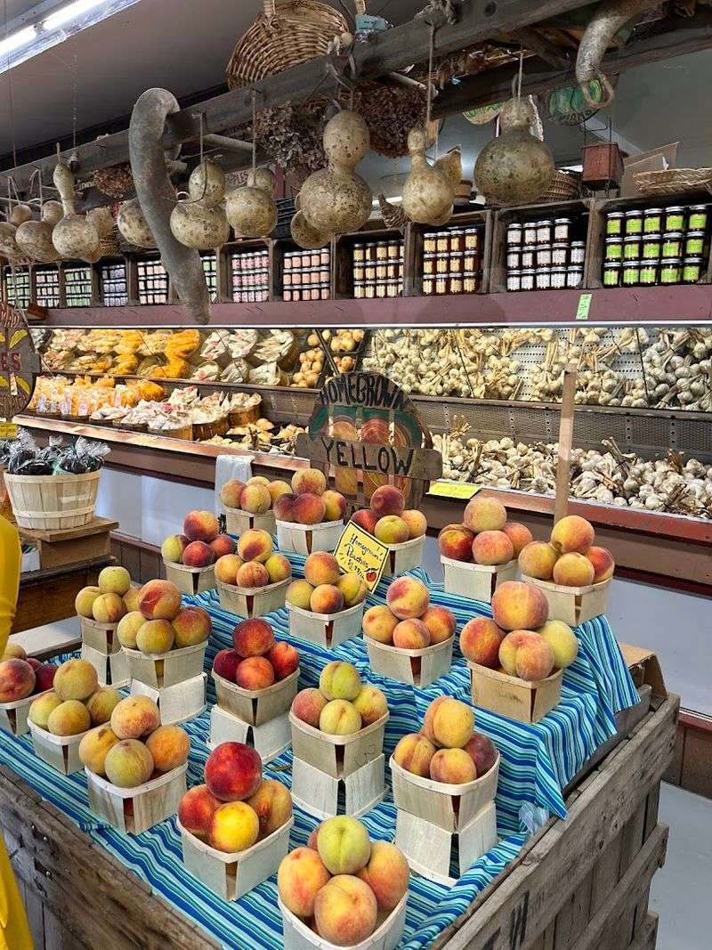 Seasonal Picks That Keep The Visit Interesting