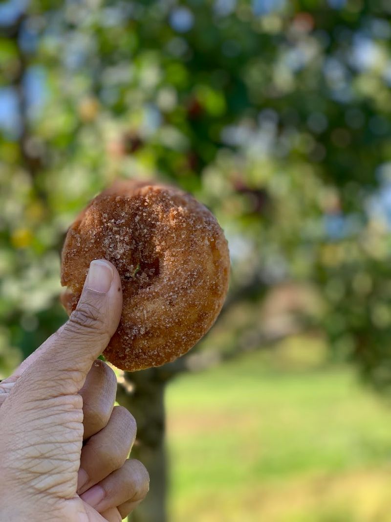 A Country Stop That Feels Rewardingly Local