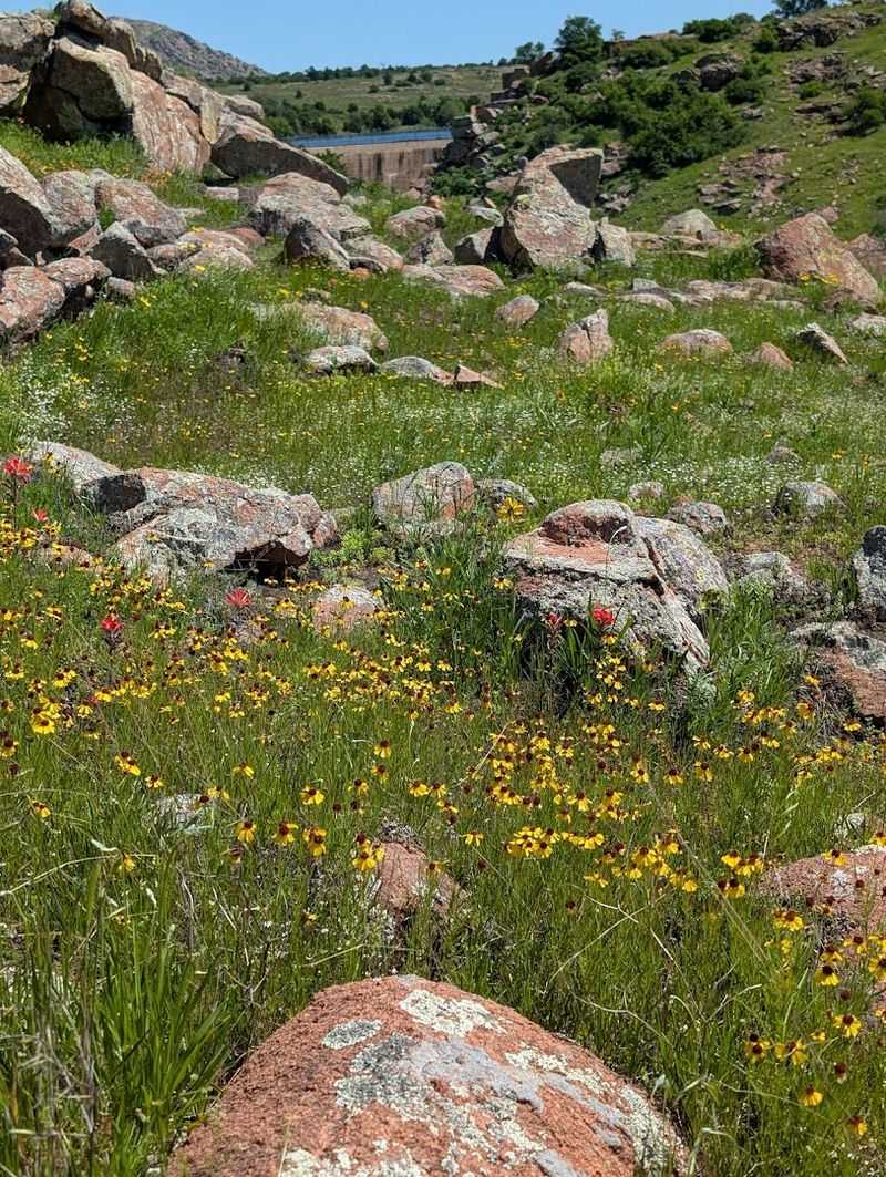 The History Layered Into Every Rock Face