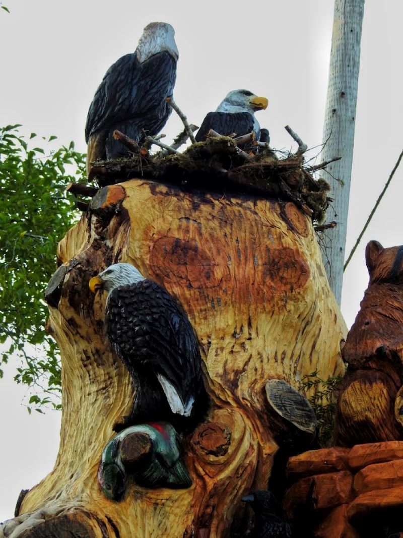 Best Times to Visit and What to Expect