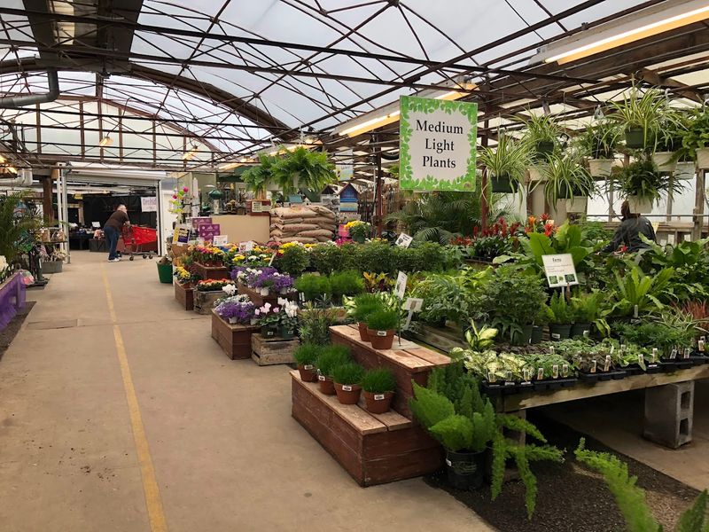 Greenhouse Shopping That Pulls You In Fast