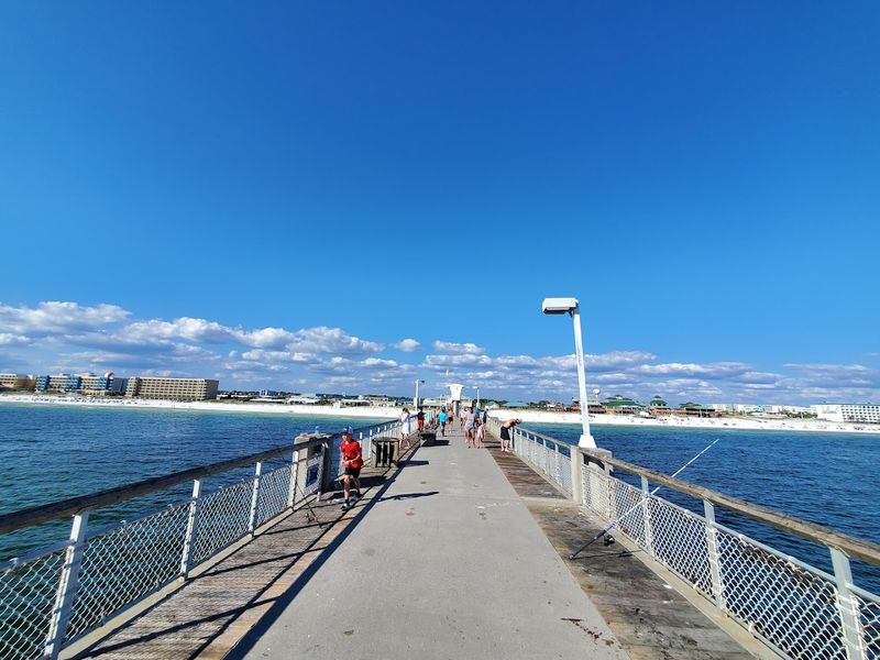 Fishing Energy That Gives It Extra Life