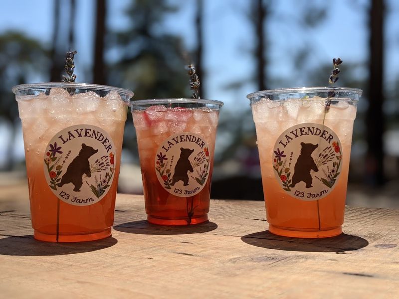 The Lavender Detour That Makes Rural France Feel Weirdly Close