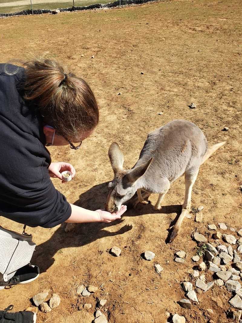 The Kind Of Zoo Visit That Feels More Hands-On
