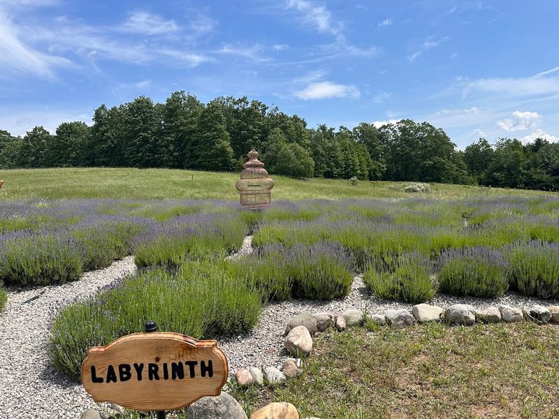 Concerts, Events, And Extras Give The Farm More Pull