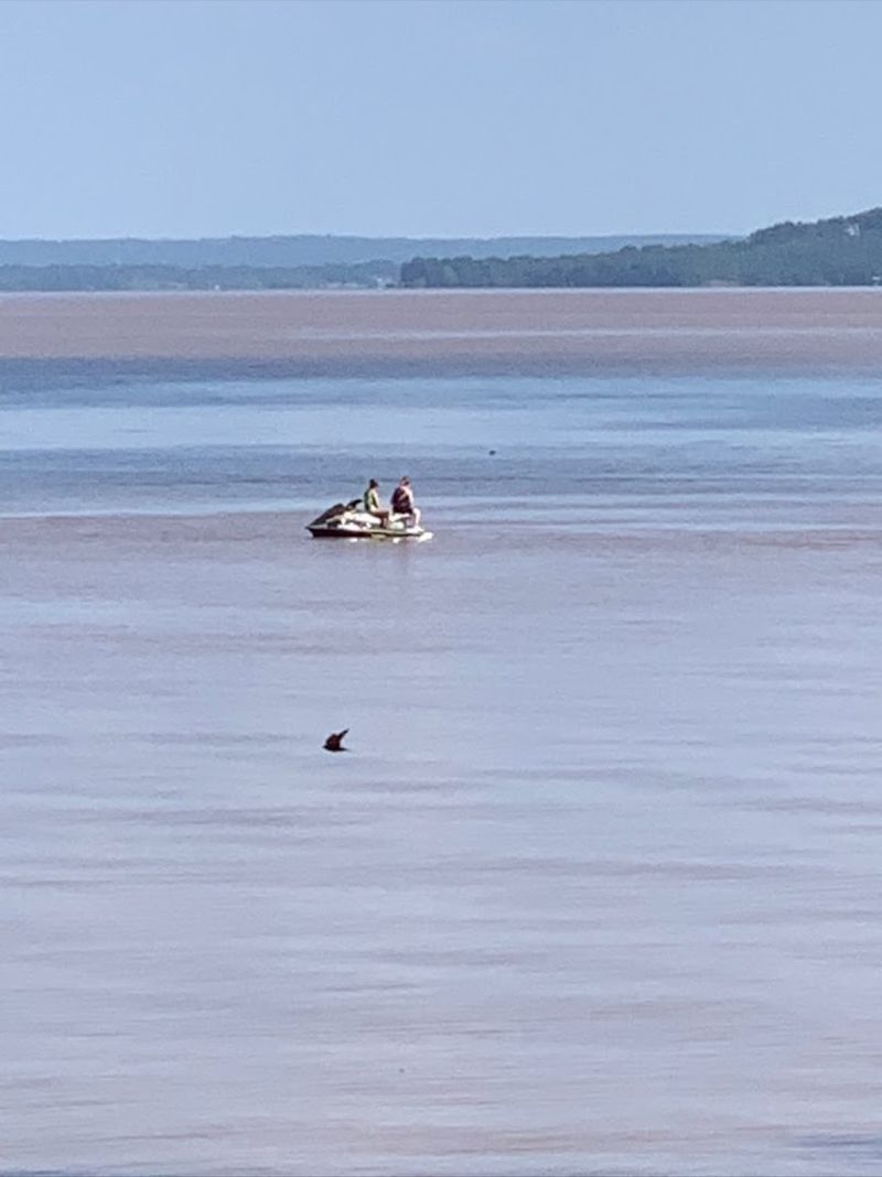 Fishing at Eufaula Lake When the Water Recedes
