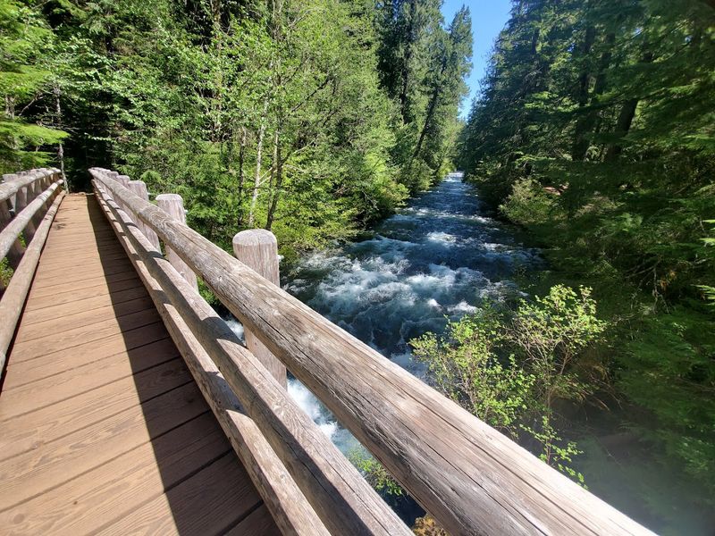 McKenzie River Trail, Blue River, Oregon
