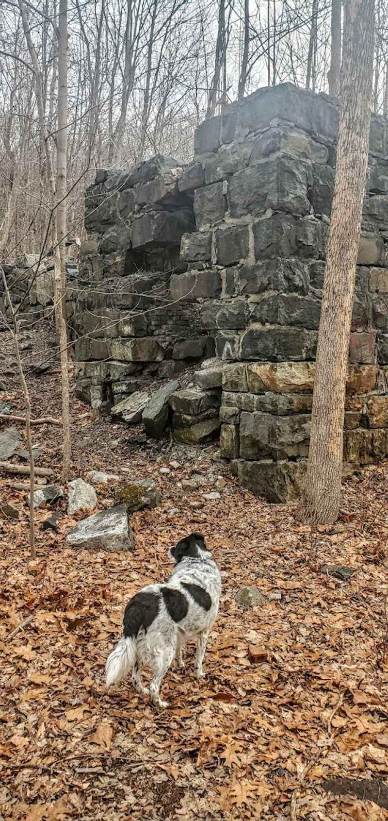 The Iron Mine Ruins: History You Can Actually Touch