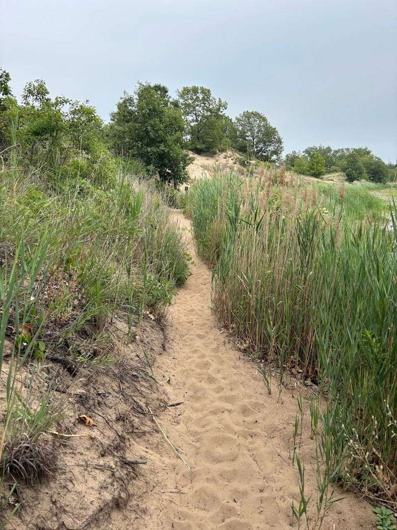 Three Landscapes in One Single Hike