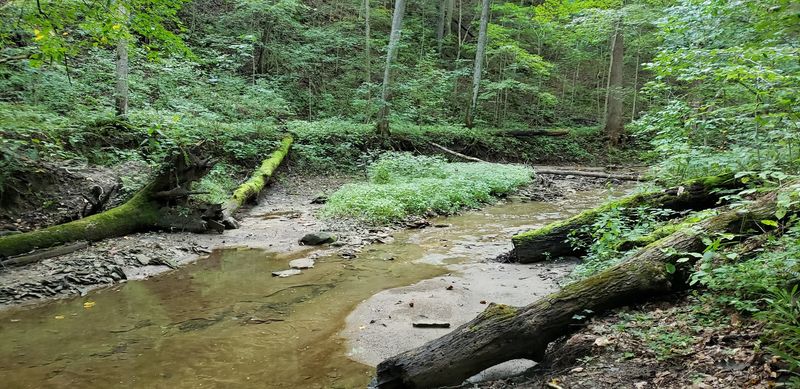 Bird Watching That Rivals Any Indiana Hotspot