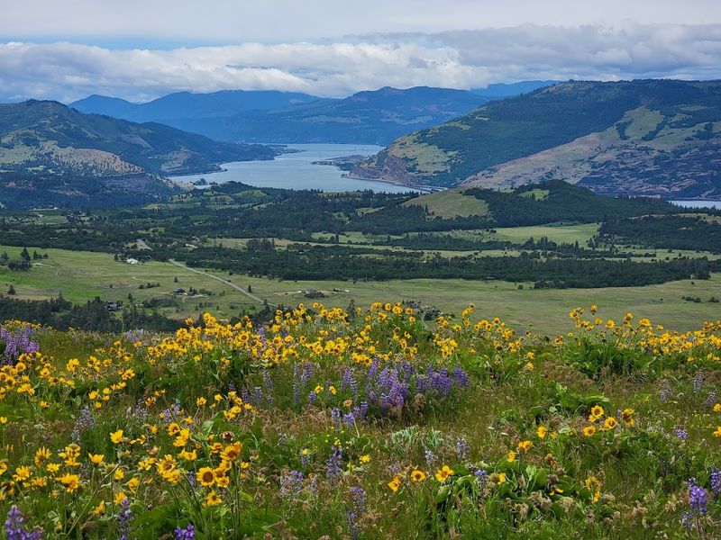 Mountain Views That Make The Climb Worth Every Step