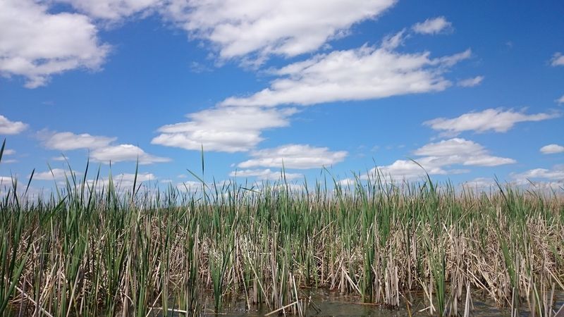 Photo Spots For Dune Curves And Big Sky Light