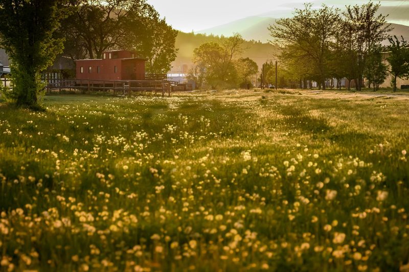 The Fremont National Forest Extension