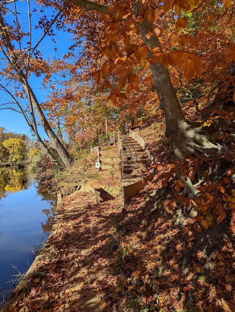 Fall Foliage That Transforms the Entire Trail