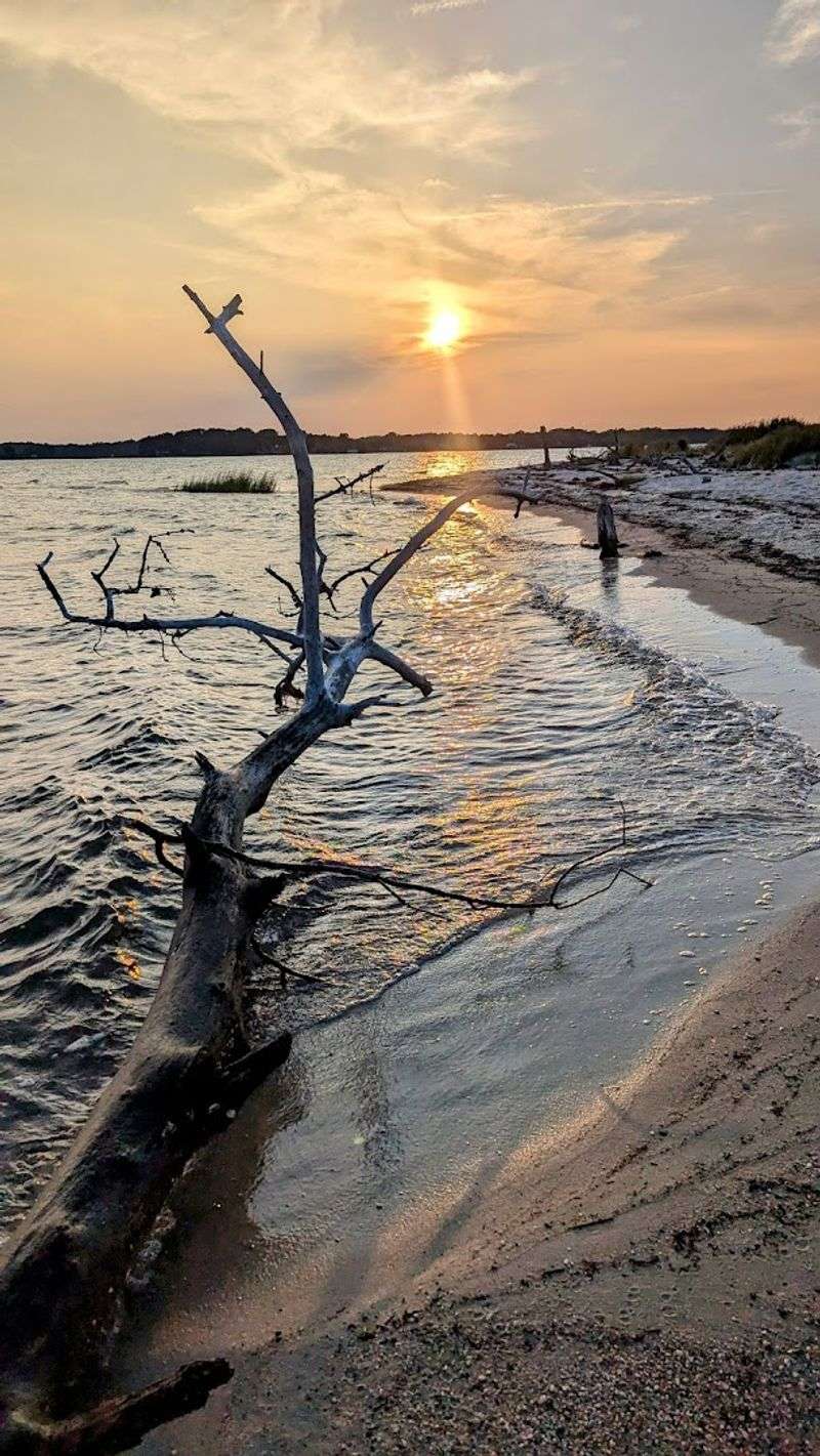 Seasonal Transformations That Demand Return Visits